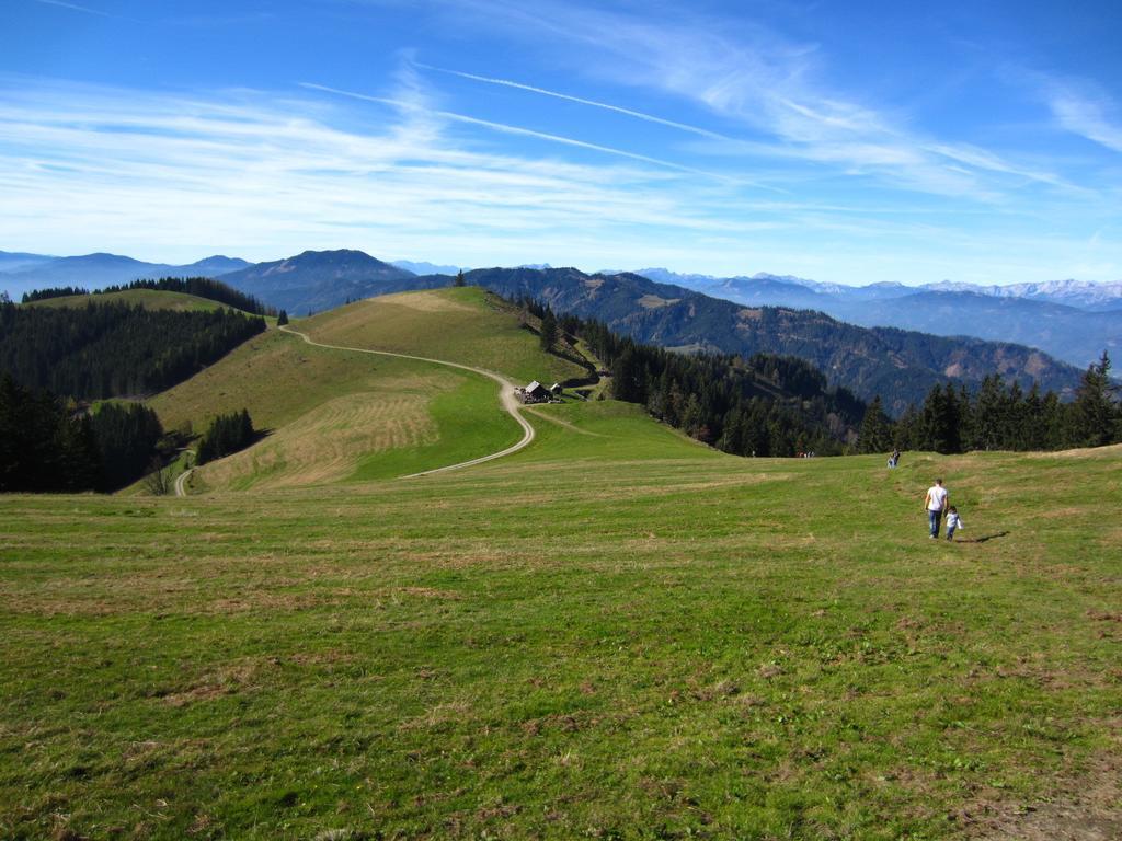 Breitenau am Hochlantsch Heidi'S Schlummerkiste Am Fuss Der Teichalm מראה חיצוני תמונה