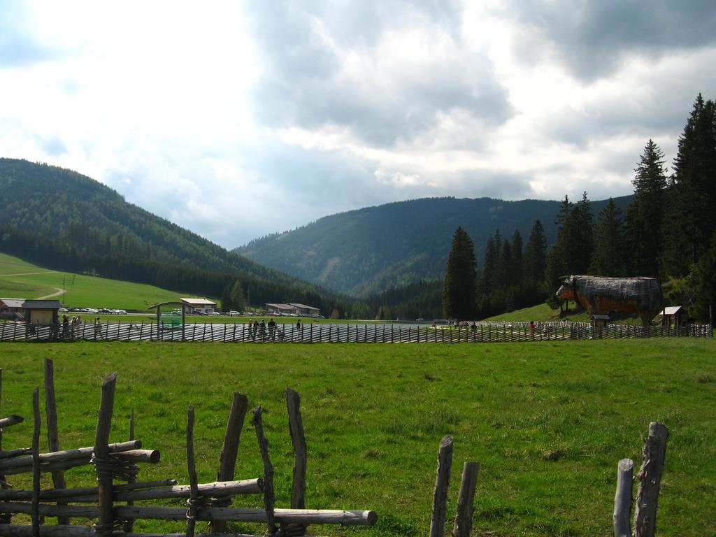 Breitenau am Hochlantsch Heidi'S Schlummerkiste Am Fuss Der Teichalm מראה חיצוני תמונה
