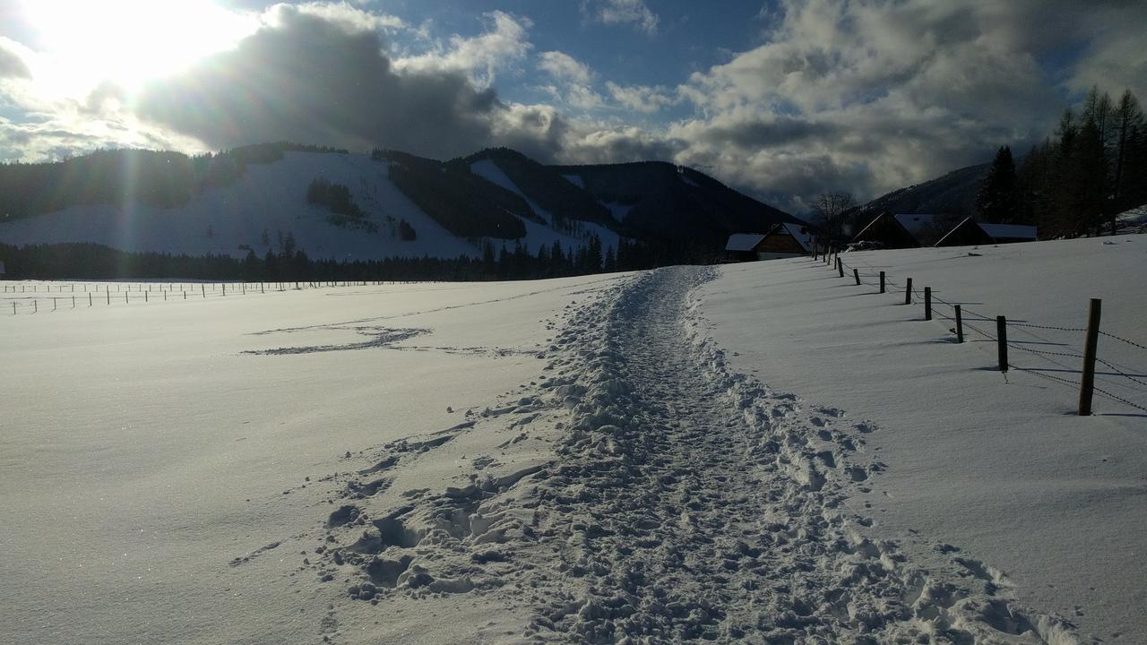 Breitenau am Hochlantsch Heidi'S Schlummerkiste Am Fuss Der Teichalm מראה חיצוני תמונה