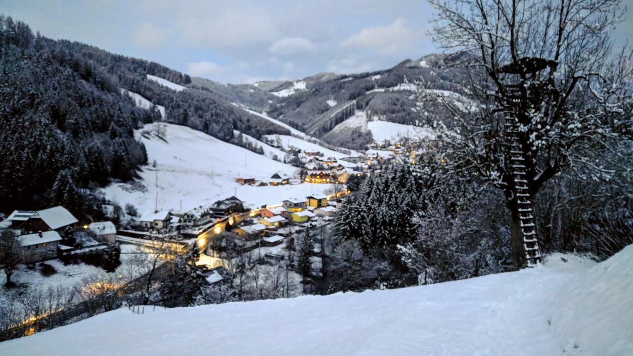 Breitenau am Hochlantsch Heidi'S Schlummerkiste Am Fuss Der Teichalm מראה חיצוני תמונה